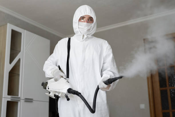 Best Commercial Mold Inspection in Bixby, OK